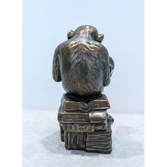 El Mono "Darwin" The Darwin Monkey